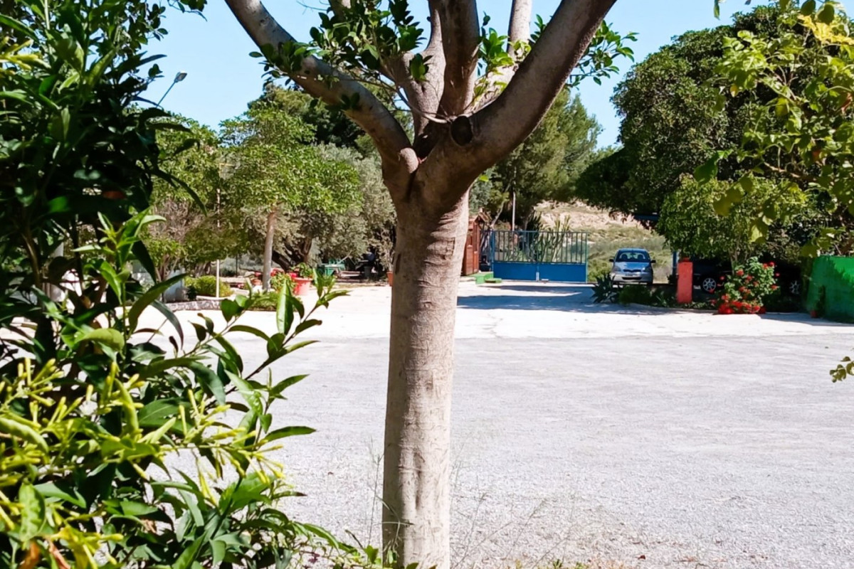 Revente - House - Mutxamel - Bonalba-Cotoveta