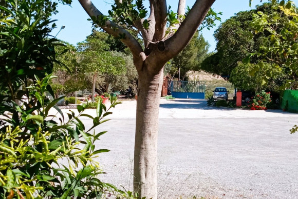 Revente - House - Mutxamel - Bonalba-Cotoveta