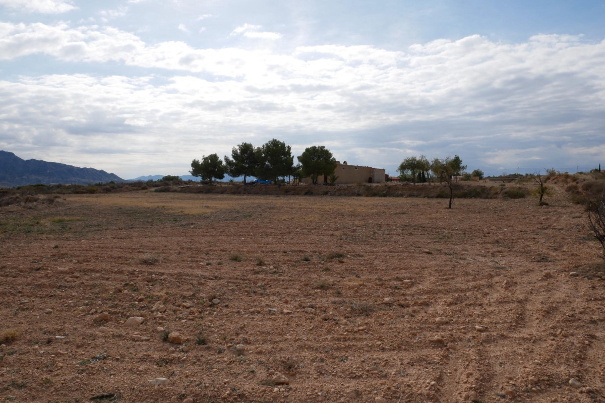 Revente - House - Abanilla - EL SALADO