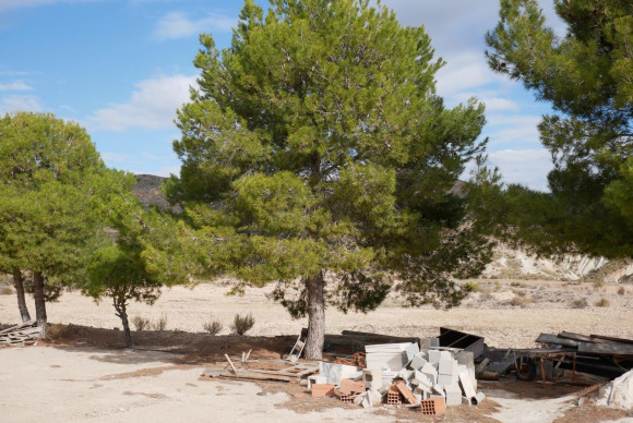 Revente - House - Abanilla - EL SALADO