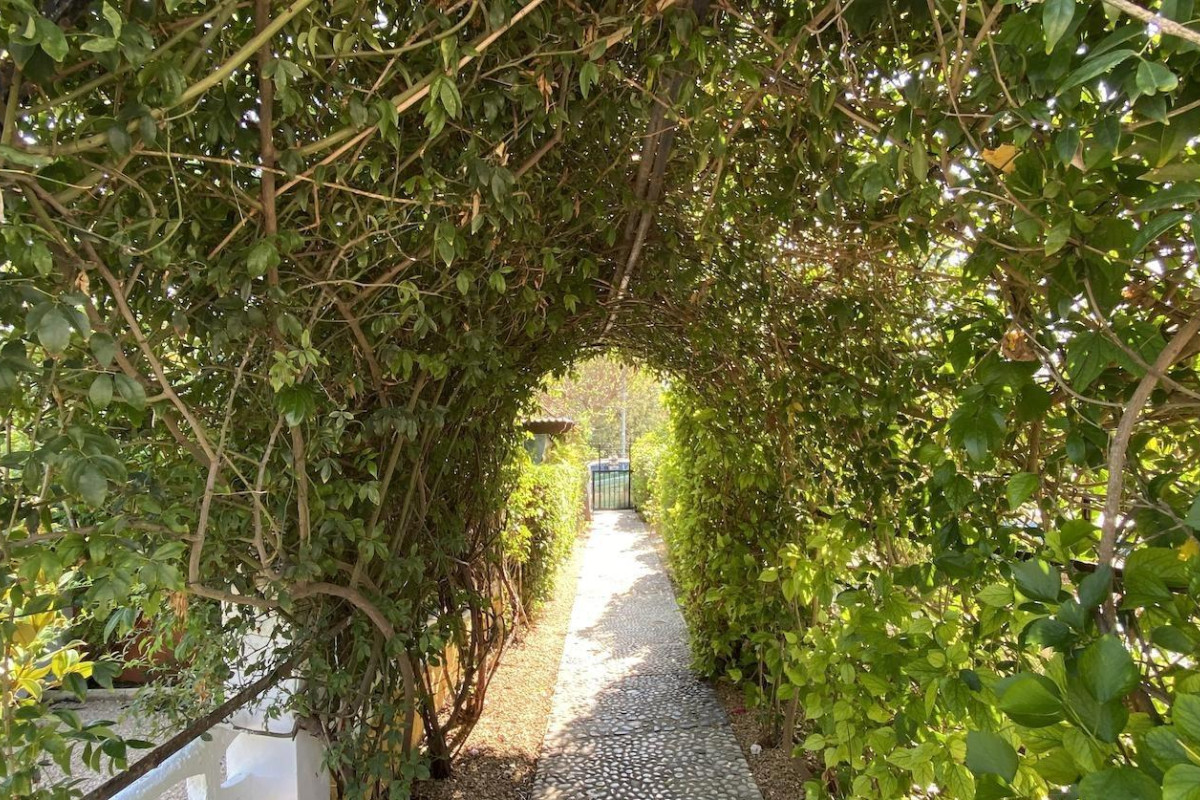 Herverkoop - Villa - l'Alfas del Pi - Romeral