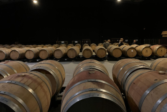 Revente - Bodega - PINOSO - CENTRO