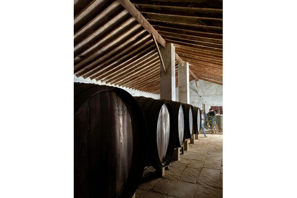 Revente - Bodega - PINOSO - CENTRO