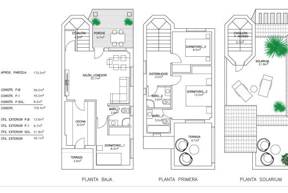 Obra nueva - Pareado - San Fulgencio - El Oasis