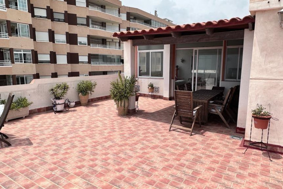Herverkoop - Appartement  - Torrevieja - La Mata pueblo