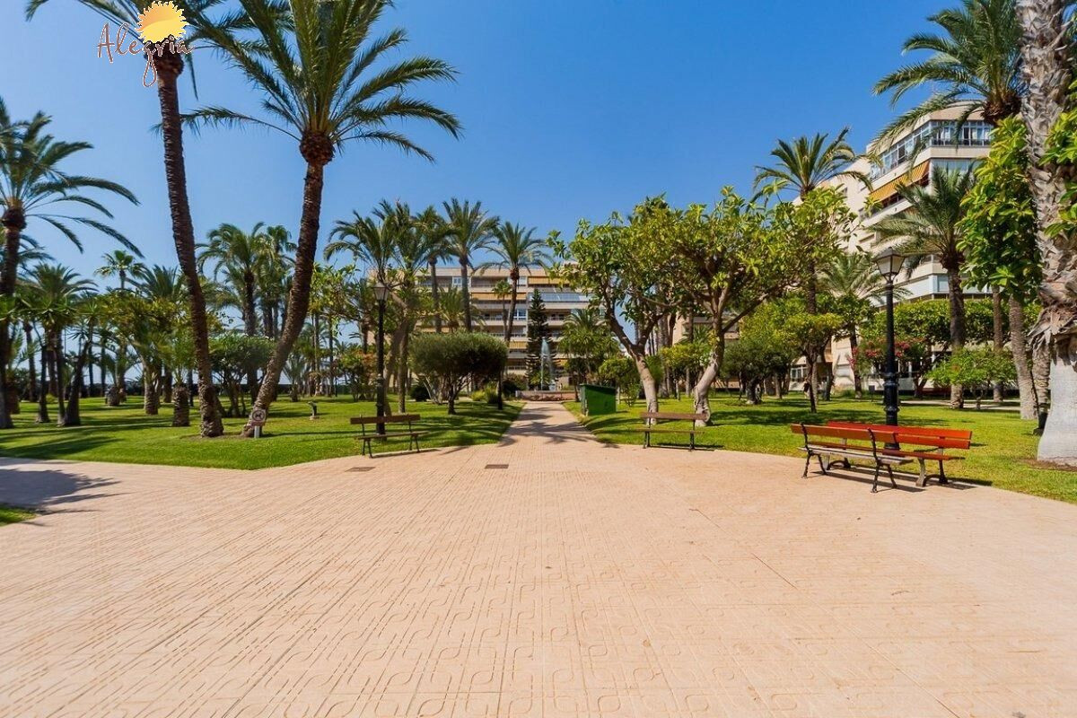 Herverkoop - Appartement  - Torrevieja - Playa de los Locos