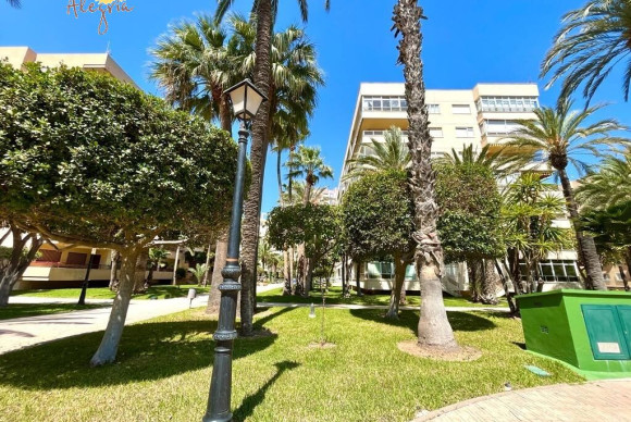 Herverkoop - Appartement  - Torrevieja - Playa de los Locos