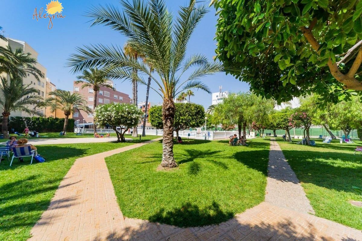 Herverkoop - Appartement  - Torrevieja - Playa de los Locos