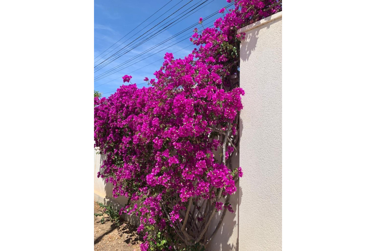 Resale - Villa - Ciudad Quesada - Rojales