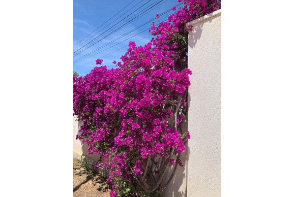 Resale - Villa - Ciudad Quesada - Rojales