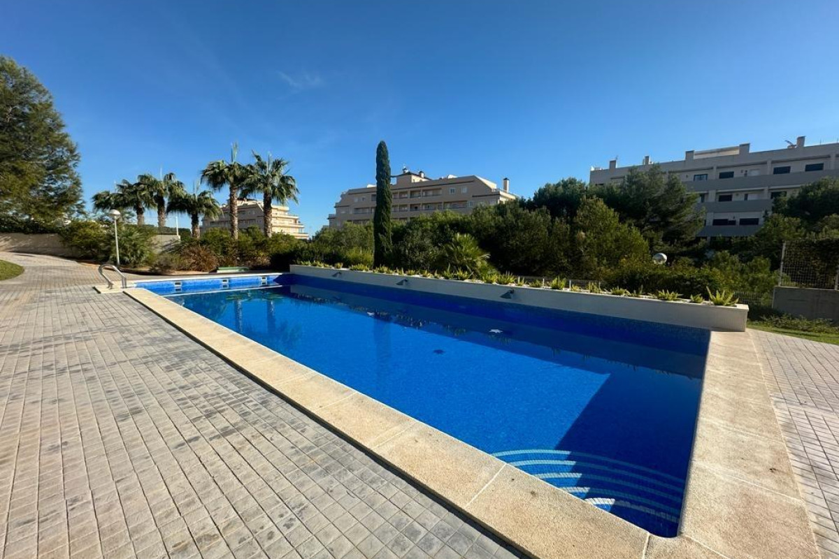 Herverkoop - Appartement  - Orihuela Costa - Playa Flamenca