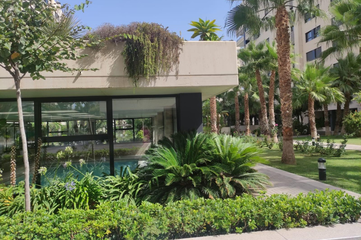 Lange Termijn Verhuur - Appartement  - San Juan Playa - Pau 5