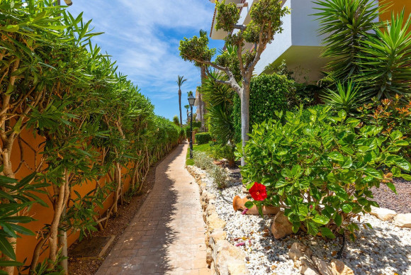 Reventa - Apartamento / piso - Torrevieja - Punta prima