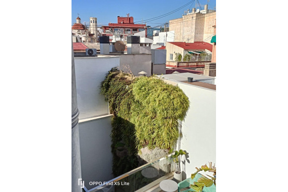 Revente - Appartement - Alicante - Centro