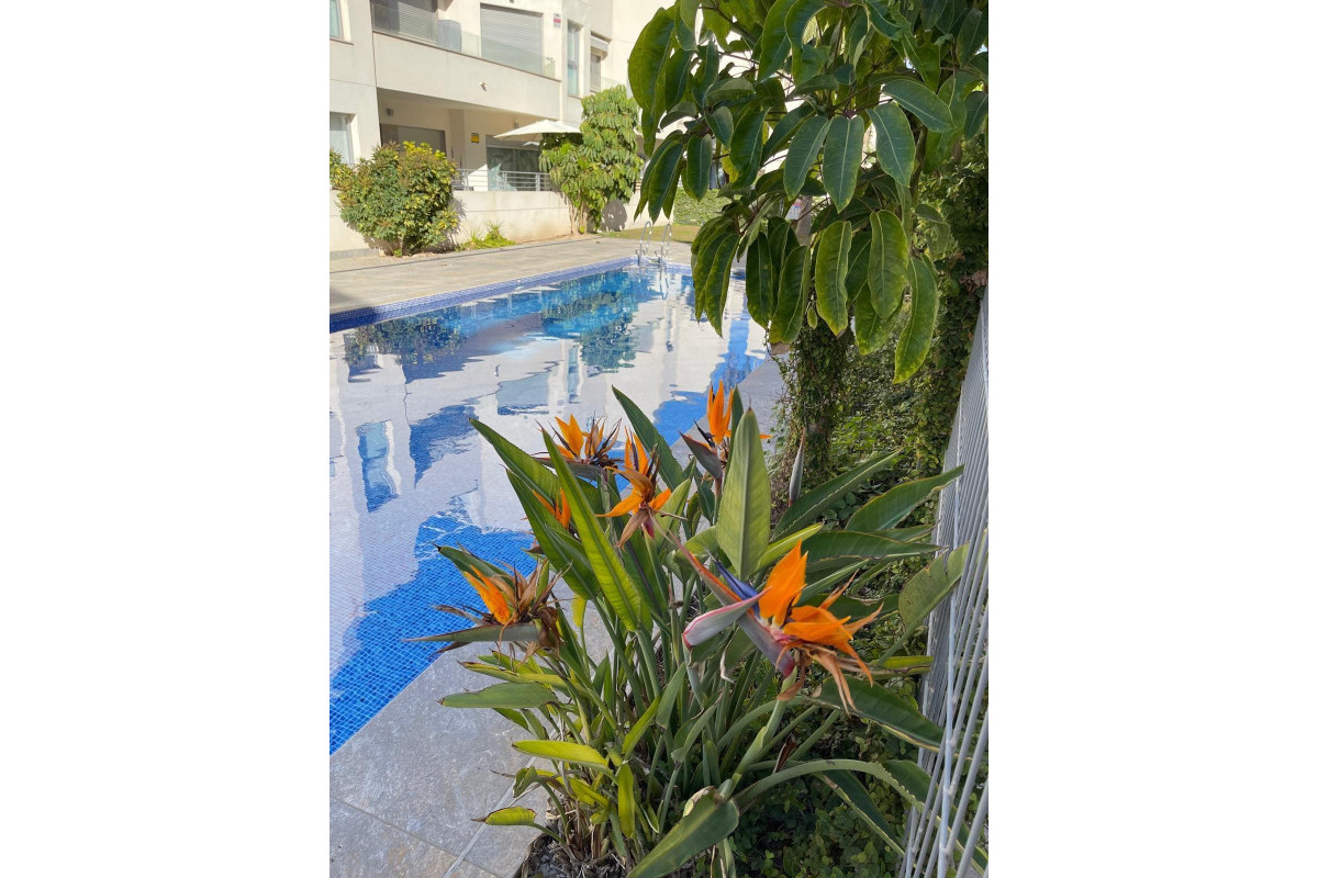 Herverkoop - Appartement - Torrevieja - La veleta