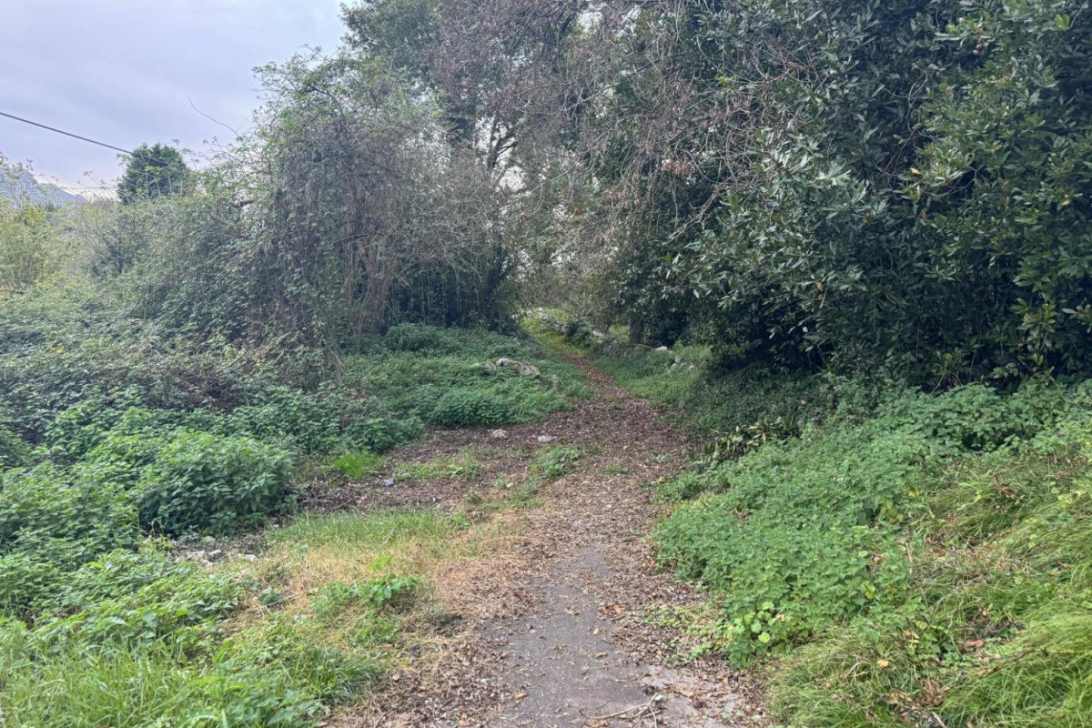 Herverkoop - Terrein - Llanes - Cué-San Roque-Andrín