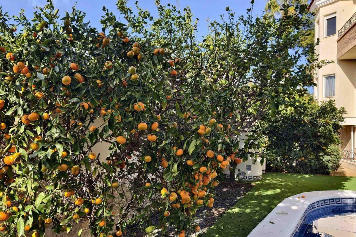 Herverkoop - Villa - Ciudad Quesada - Costa blanca sur