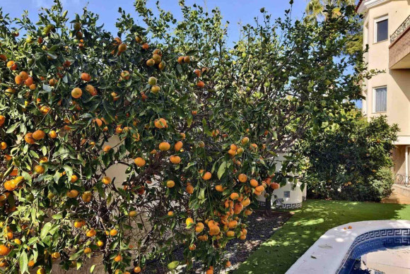 Herverkoop - Villa - Ciudad Quesada - Costa blanca sur