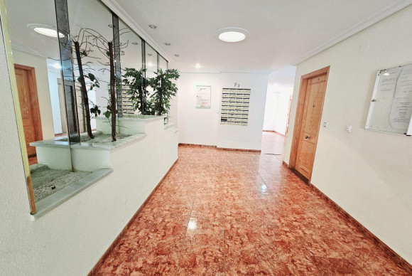 Herverkoop - Appartement  - Torrevieja - Estacion de autobuses