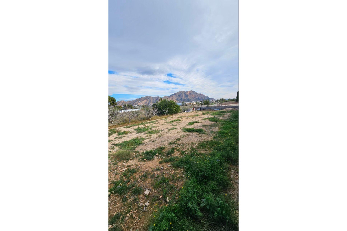 Reventa - Villa - Orihuela Costa - Urb. Montepinar