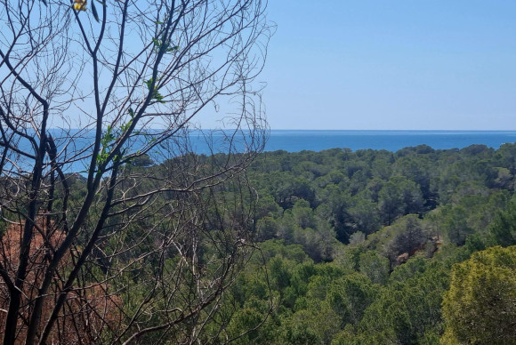 Reventa - Parcela - Altea - Galera de las palmeras