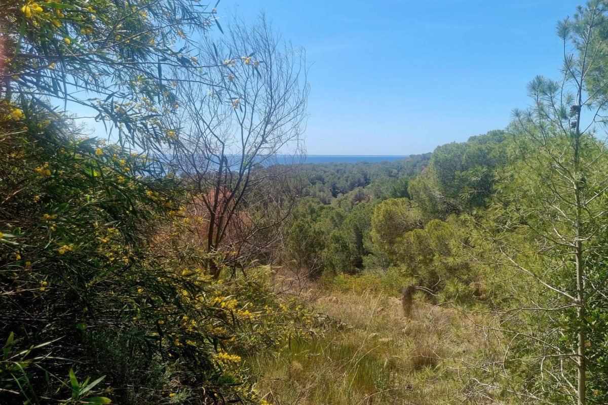 Reventa - Parcela - Altea - Galera de las palmeras