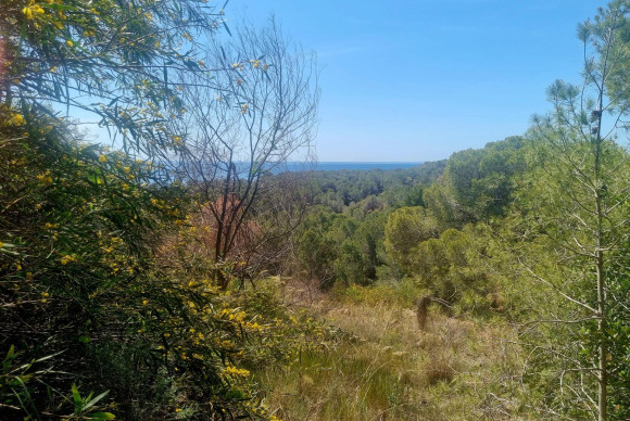 Reventa - Parcela - Altea - Galera de las palmeras