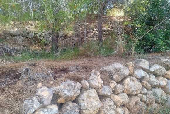 Reventa - Parcela - Altea - Galera de las palmeras