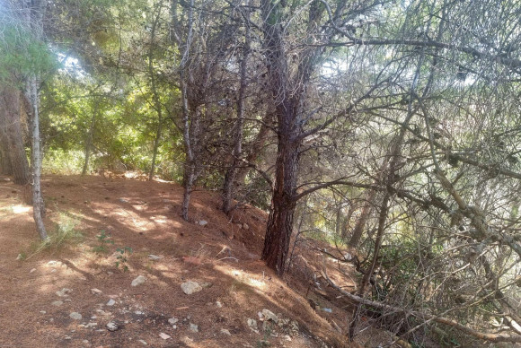 Reventa - Parcela - Altea - Galera de las palmeras