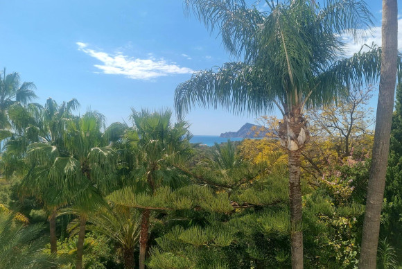 Reventa - Parcela - Altea - Galera de las palmeras