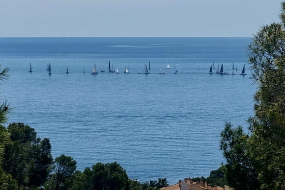 Reventa - Parcela - Altea - Galera de las palmeras