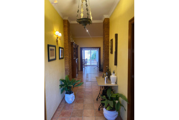 Revente - Commercial Unit - Torrevieja