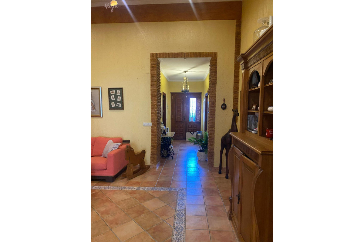 Revente - Commercial Unit - Torrevieja