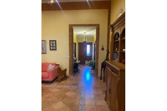 Revente - Commercial Unit - Torrevieja