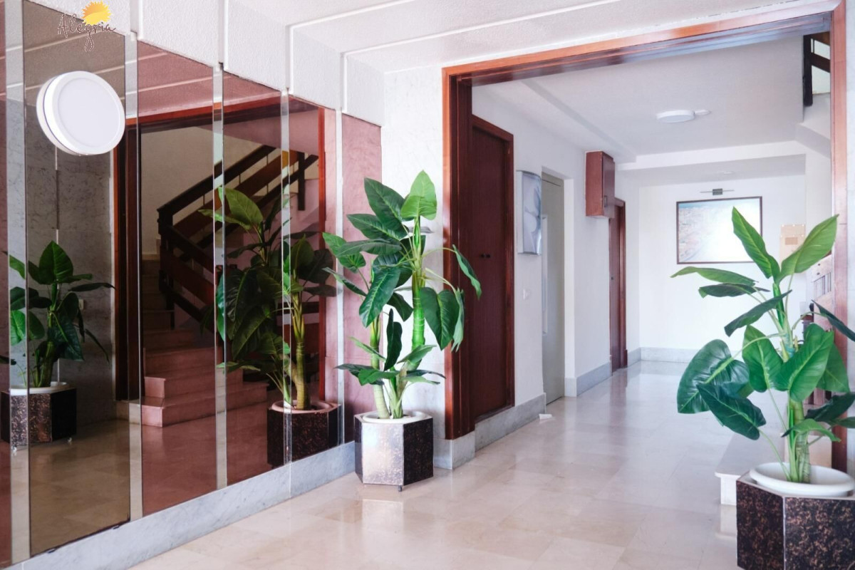 Revente - Appartement - Torrevieja - Paseo maritimo