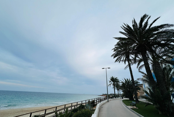 Reventa - Apartamento / piso - Pilar de la Horadada - Mil Palmeras