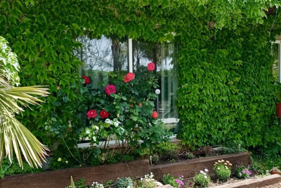 Reventa - House - Betera - La Conarda-Montesano