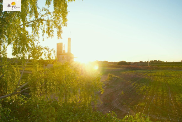 Reventa - House - Betera - La Conarda-Montesano