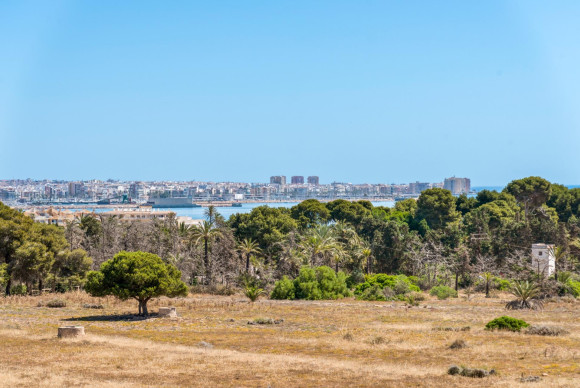 Reventa - Apartamento / piso - Torrevieja - Punta prima