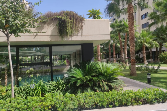 Herverkoop - Appartement  - Alicante - Pau V