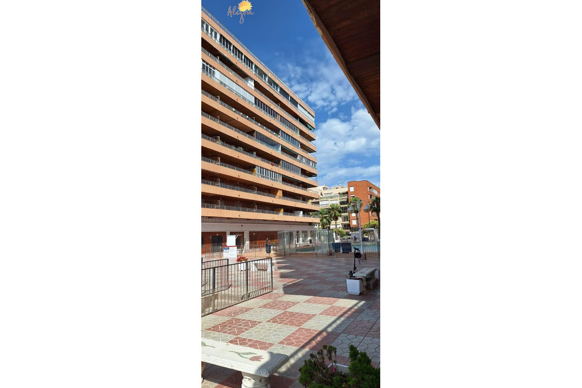 Herverkoop - Appartement  - Torrevieja - Acequion