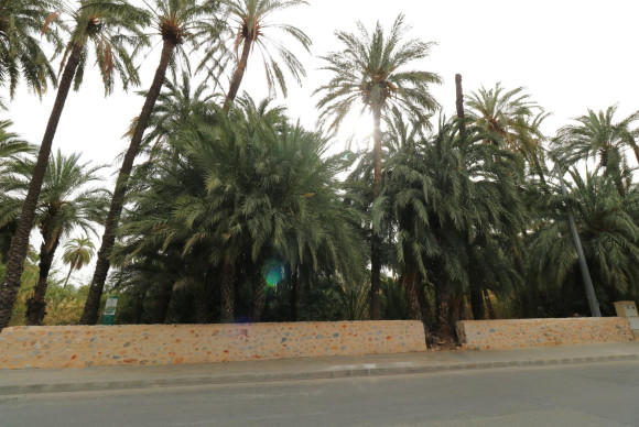 Herverkoop - Terrein - Orihuela Costa - El Palmeral