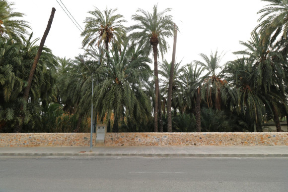 Herverkoop - Terrein - Orihuela Costa - El Palmeral