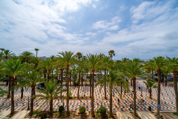 Reventa - Apartamento / piso - Alicante - Casco Histórico-Santa Cruz