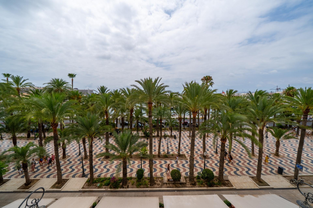 Reventa - Apartamento / piso - Alicante - Casco Histórico-Santa Cruz