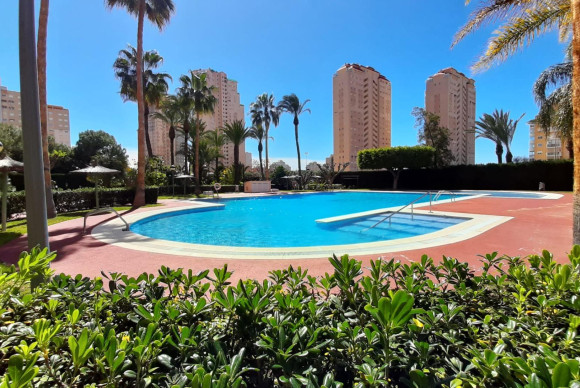 Herverkoop - Appartement  - El Campello - Playa muchavista