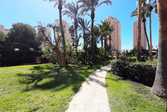 Herverkoop - Appartement  - El Campello - Playa muchavista