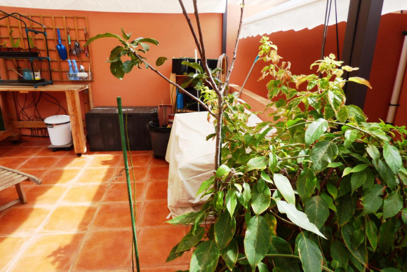 Reventa - Adosado - Alicante - Alicante Golf