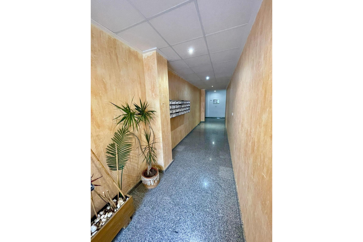 Herverkoop - Appartement  - Benijofar - Pueblo 4