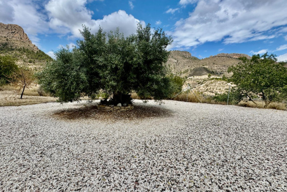 Revente - House - Relleu